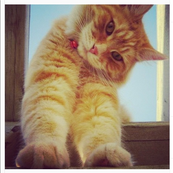 Meet your Posher, Martine - Picture 1 of 1